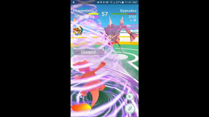 Pokémon GO Gym Battles Starter Pokémon Charizard Venusaur Blastoise Ivysaur Wartortle & more