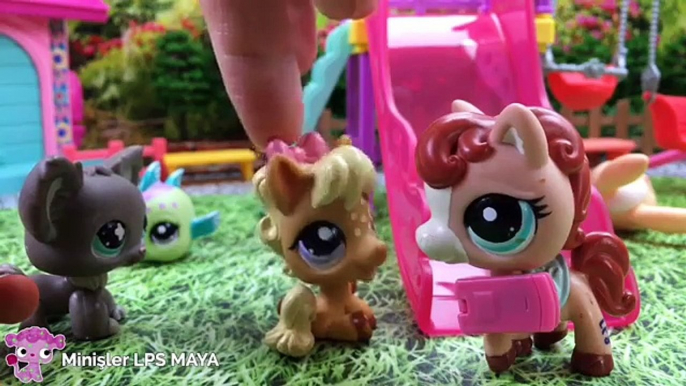 Minişler: Gıcık Kız || Minişler LPS MAYA - Littlest Pet Shop