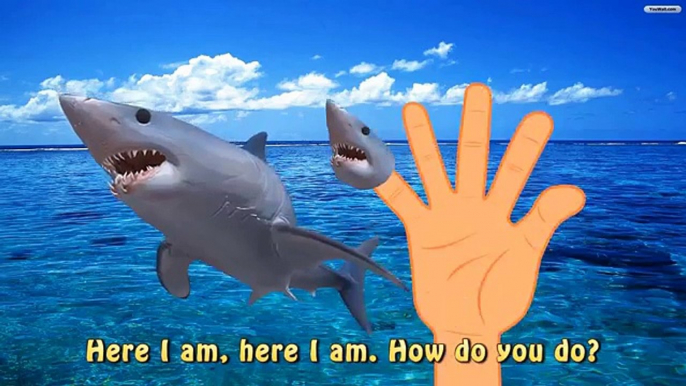 Sea Animal Finger Family Nursery Rhyme | Shark Attack | Learn Sea Animals Names and Sounds For Kids