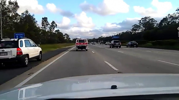 Un pigeon vole à la vitesse des voitures sur l'autoroute