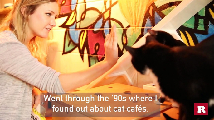 Rare Pursuits: Java Cats Cafe