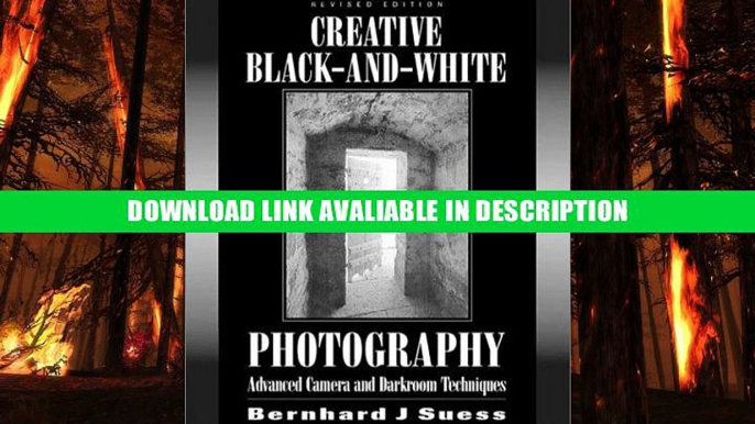New Books Creative Black and White Photography: Advanced Camera and Darkroom Techniques Bernhard
