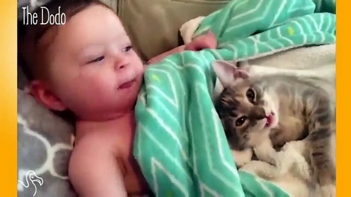 Funny Videos That Make You Laugh So Hard You Cry Funny Baby Videos part 1