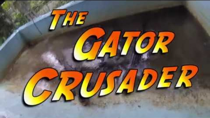 Gator Crusader Uses Animal Behavior to Predict Weather Forecast