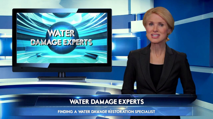 Michael Chiaramonte Of Supraclean Water Damage Specialists: Brilliant Recommendations On How To Locate A Trustworthy Water Damage Restoration Services