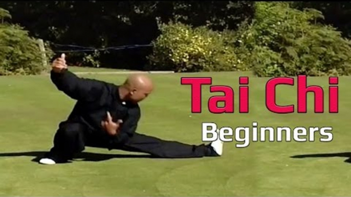 Tai chi chuan for beginners - Taiji Canon Fist Chen Style 1 Part 7