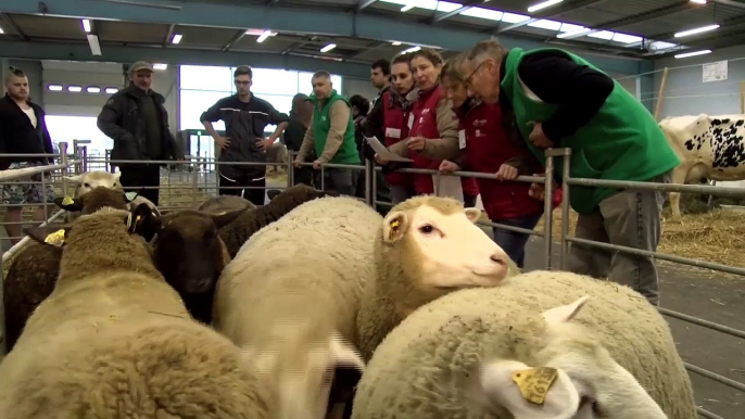 EVENEMENT/ La plus grande ferme de la région se prépare