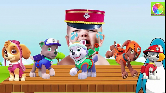 Learn Colors With Paw Patrol for Children, Learn Colours for Kids with Paw Patrol Finger Family song