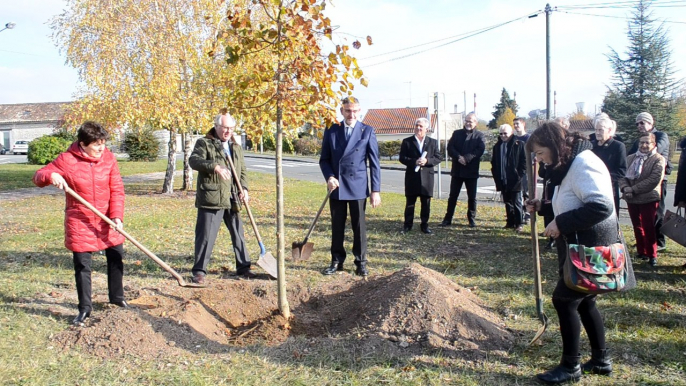 Les 100 ans du Lions clubs international. Plantation d'un tilleul de Mongolie, place de Durbach le samedi 18 novembre..