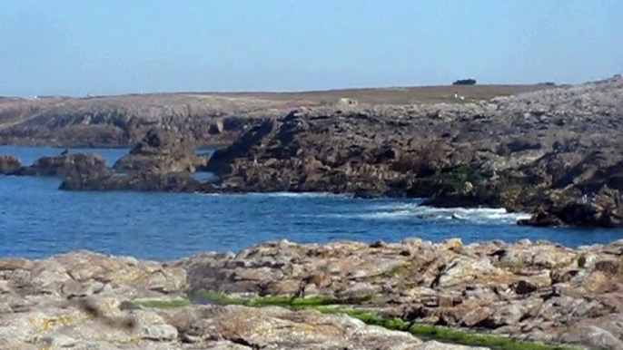 Quiberon-Côte sauvage (1)