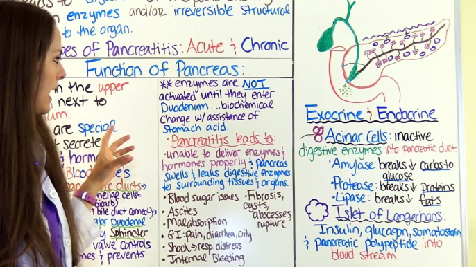 Pancreatitis | Acute and Chronic Pancreatitis Nursing Lecture Symptoms, Treatment, Pathophysiology