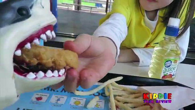 Feeding Pet Shark McDonalds Chicken Nuggets, Feeding Pet Shark McDonalds Happy Meal Compilation