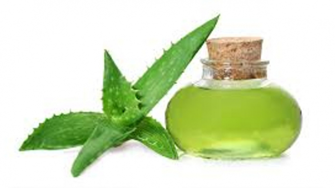 Home Made Aloe Vera Oil -Aloe vera oil for Healthy hair a Easy mumtaj Tips