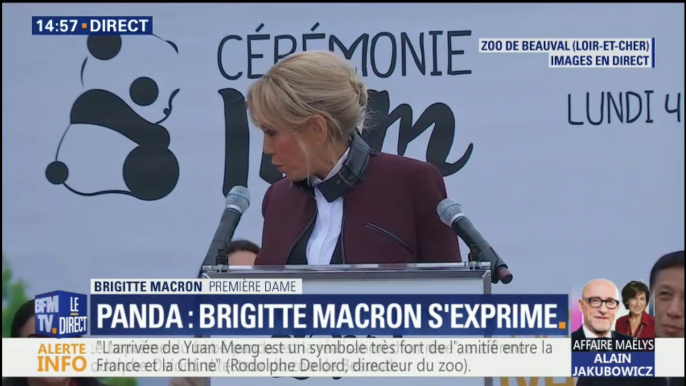 "Yuan Meng est le fruit énergique et vigoureux de l’amitié franco-chinoise", déclare Brigitte Macron au zoo de Beauval