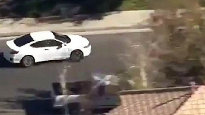 Suspect throws dog out of car