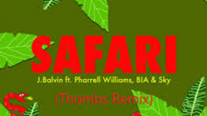 J Balvin ft Pharrell Williams, BIA & Sky - Safari ( Vdj Kara Remix )