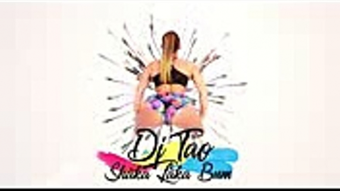 Shaka Laka Bum - DJ Tao ft. MC PR, MC Tota