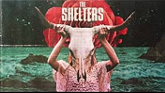 The Shelters - Birdwatching [Official Audio] (1)