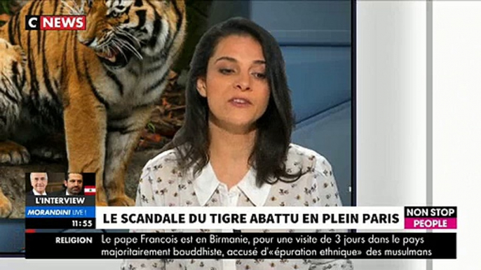 EXCLU - L'association de défense des animaux PETA demande à France 2 de cesser d'utiliser des tigres dans "Fort Boyard"