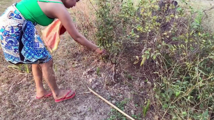 Brave Girl Catch Village Snake in My Village How To Catch Village Snake In My Village