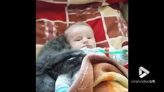 Bébé et ce chaton sont les meilleurs amis du monde.. moment mignon !