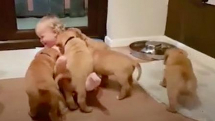 A Baby Getting Piled On By Puppies Is Just The Pick-Me-Up We Need