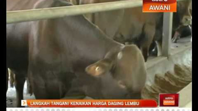 Langkah tangani kenaikan harga daging lembu