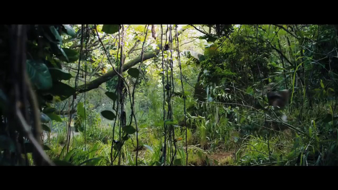 JUMANJI 2 - WELCOME TO THE JUNGLE (2017)-Cake Scene