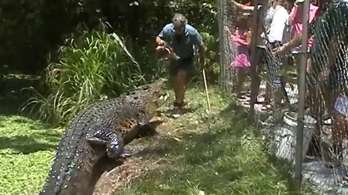 Ce dresseur fait sortir un crocodile géant de l'eau sous les yeux des touristes médusés