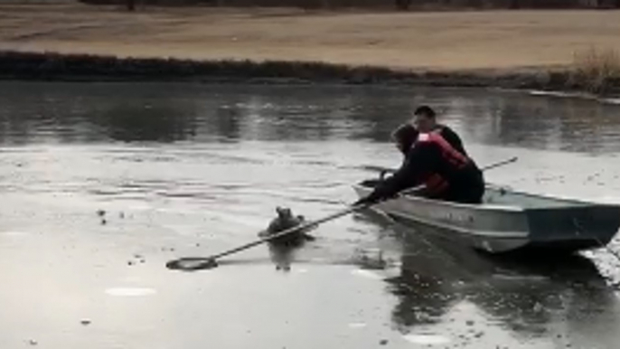 Kansas Police Officer, Firefighter Rescue Duck Trapped in Ice