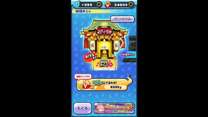 桜オロチ、ラストチャンス！【妖怪ウォッチぷにぷに】さくらガシャ２０連ちゃん！    Wib Wob-IXx2e9Jm4RE