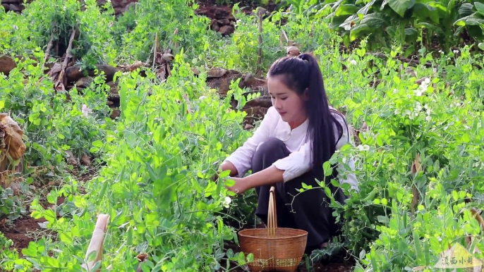 [Điền Tây Tiểu Ca] Cơm Đậu Hà Lan Thịt Chân Giò Hun Khói