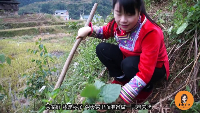 这野菜根在农村路边随处可见，蒸鸡肉非常好吃，在家你可试一下