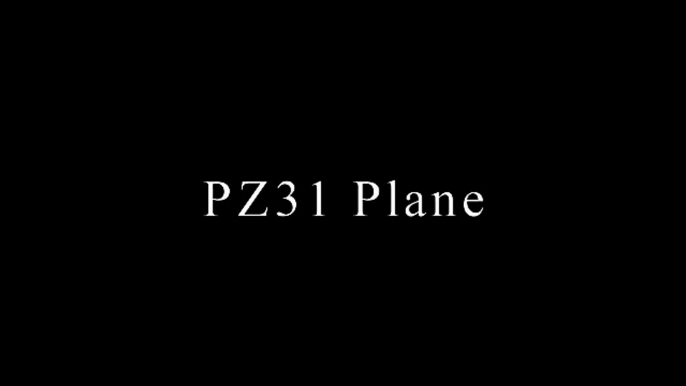 PZ31 Plane _ Flying 2 - 3D Animation Video Clip _ Shaik Parvez