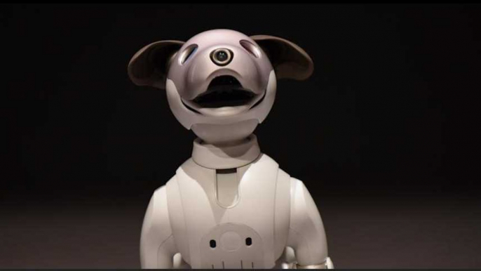 Aibo, le nouveau robot-chien de Sony ultra-intelligent