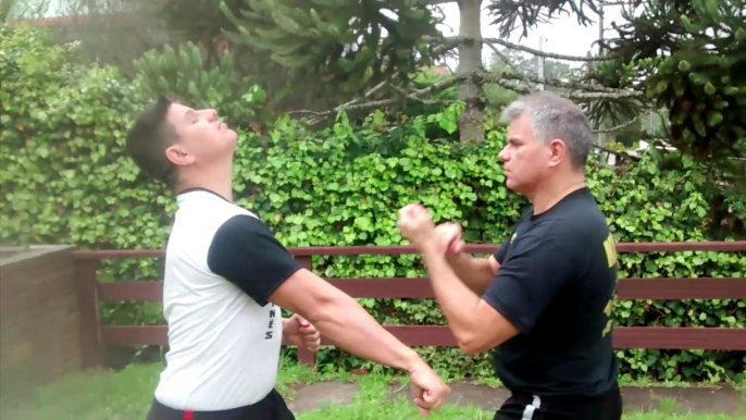 DEFESA PESSOAL CONTRA SOCOS - O MELHOR DO KUNG FU TÉCNICAS