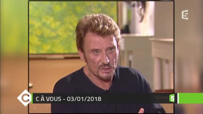 Johnny Hallyday alias Johnny Rock