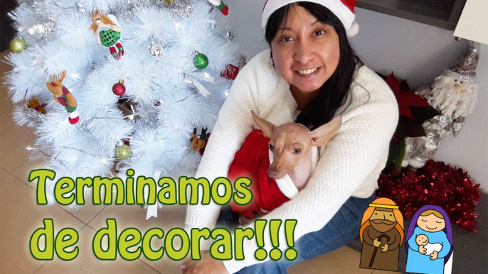 Jose y Maria eran morenos? Haciendo la compra en el super  VLOGMAS 2017 - Aracelli vlogs