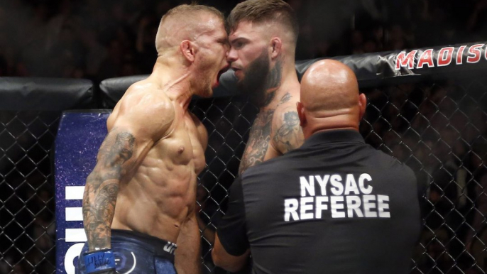 TJ Dillashaw vs Cody Garbrandt