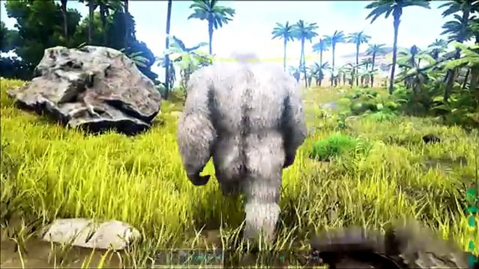 ¡GIGANTOPITHECUS, DINOSAURIOS DE COLORES & RHINO VS RAPTOR ALPHA! - ARK en XBOX ONE #22