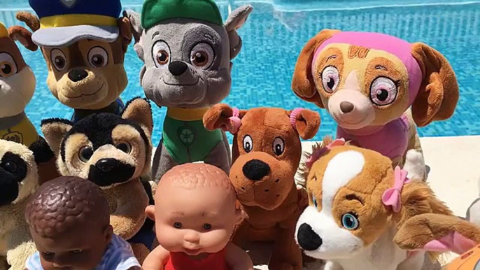 Patrulla canina juguetes español PAW PATROL EN PISCINA ENSEÑA A NADAR NUEVOS BEBES CACHORROS