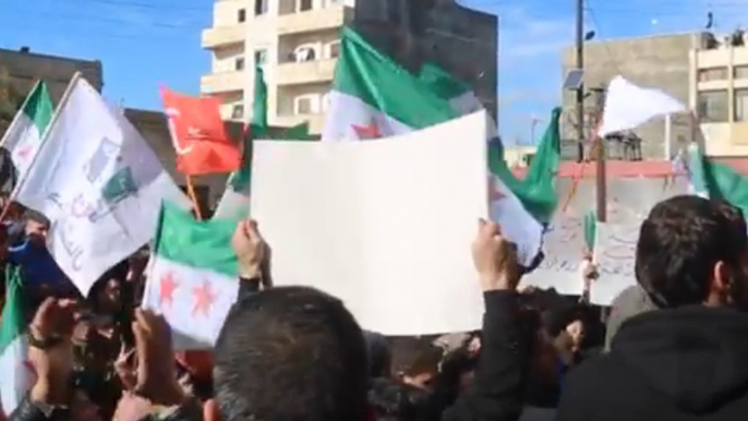 Demonstrators Support Turkish and Free Syrian Army Attacks on Kurdish Forces in Afrin