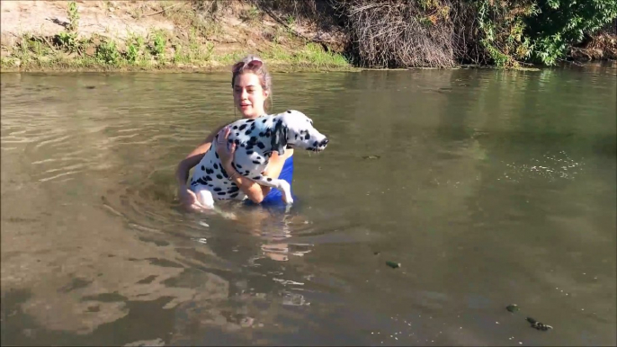 Elle tente d'apprendre à nager à son chien et c'est adorable