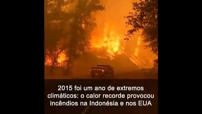 2015: O ano de extremos climáticos