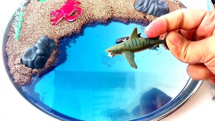 Learn Types Of SHARKS in Water/MINI Beach-Cute Mini SHARK TOYS-Sea Animals Kids Z Fun