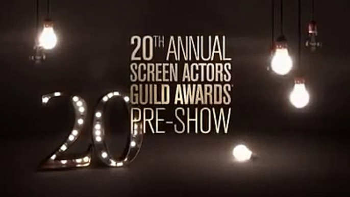 20º Annual Screen Actors Guild Awards - Red Carpet