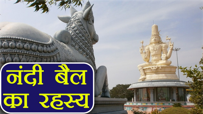 Mahashivratri: भगवान शिव के साथ क्यों विराजते है Nandi, जानिए रहस्य | Boldsky