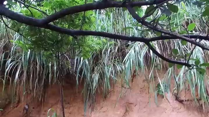 Desabamento de barranco assusta moradores