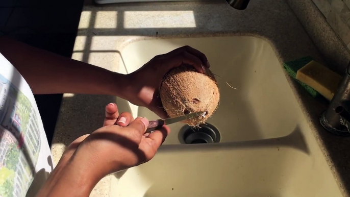 How To Easily Remove Coconut From Shell (View in HD)