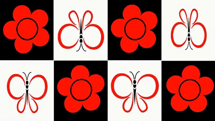 Baby Sensory - Black, White & Red - Flower & Butterfly (Infant visual stimulation)